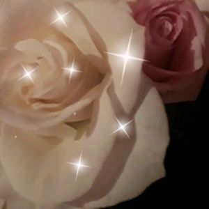 Meet your Posher, Dulce